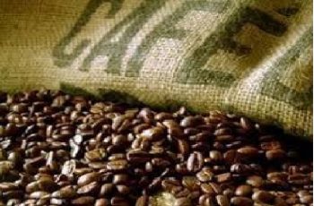 Café arábica avança 1,8% e fecha a 298,05 centavos de dólar por libra-peso na ICE Futures US 1 PLATAFORMA SAFRAS
