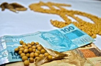 Soja recua em várias regiões, com preços variando de R$ 141,00 a R$ 147,00 por saca 3 Cotação da soja cai no Brasil com queda do dólar e falta de liquidez