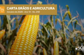 Milho encerra em R$ 69,27 em Campinas-SP, alta de 1,0% em 30 dias 12 Carta Grãos e Agricultura - Milho: vai ficar mais caro para o confinador em 2027? - SBA1