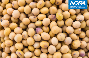 Esmagamento de soja nos EUA em setembro fica em 5,34 milhões de toneladas, abaixo das expectativas do mercado 3 NOPA frustra no esmagamento de soja nos EUA, mas estoques de óleo caem ao menor nível desde 2014