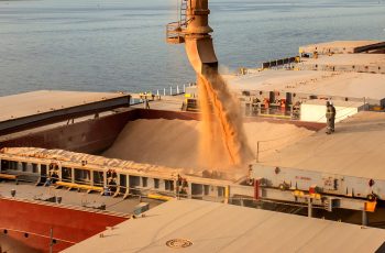 Soja tem exportações de 2,39 milhões de toneladas até a segunda semana de outubro, com média diária de 341,7 mil toneladas, 11,7% superior a 2025. 12 Ritmo das exportações de soja do Brasil cresce 11,7% em outubro; receita...